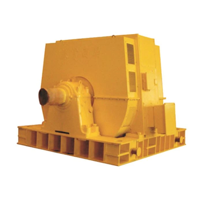 Large Synchronous Motor