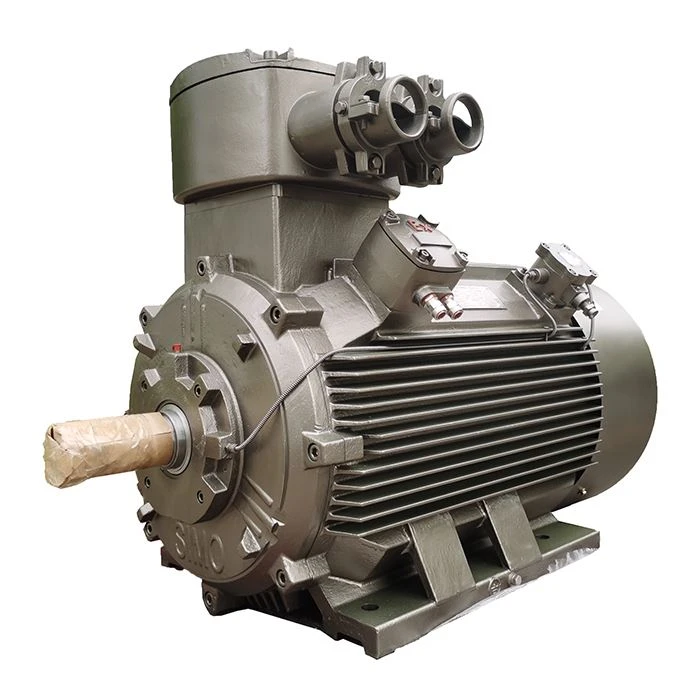 Explosion Proof Motor