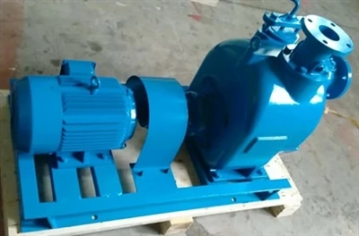 Special Notes For Water Pump Motors