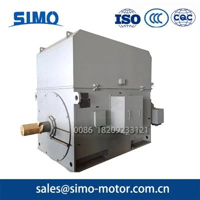 10kv 630kw high Voltage Induction Motor