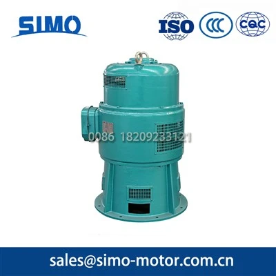 155kW Medium-Sized Wound-Rotor Motor