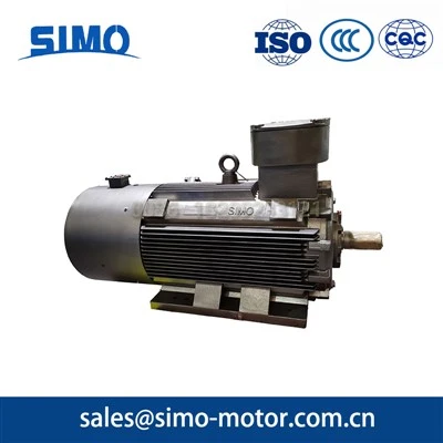 160KW Ultra High Efficiency Explosion-proof Variable Frequency Motor