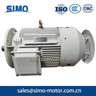 2 Pole Induction Motor-Simo YE3 Series