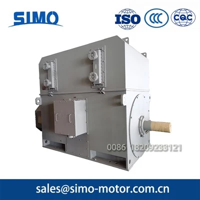 6kv 900kw high voltage Motor