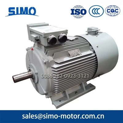 Big Permanent Magnetic Synchronous Motor
