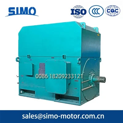 Cement Plant Motor