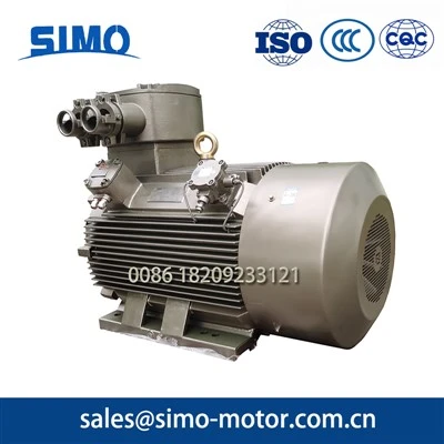 Ex-rated Motor-8/10 Pole