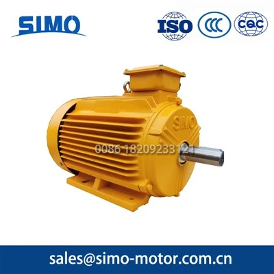 High Efficiency Motor IE4
