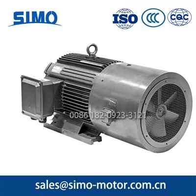 High Power Permanent Magnetic Synchronous Motor