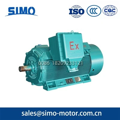 High-Voltage Explosion-Proof Motor
