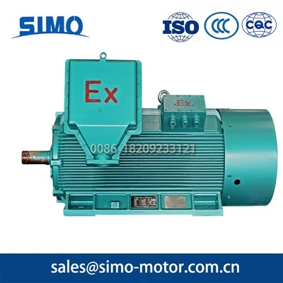 High-Voltage Flameproof Motor