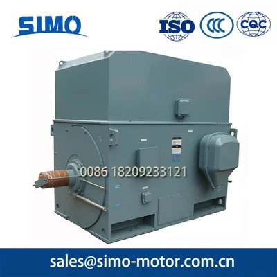 High Voltage Motor For Mining