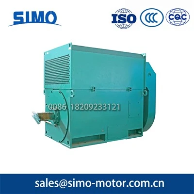 IC611-cooled 1120KW Series High-voltage Motor