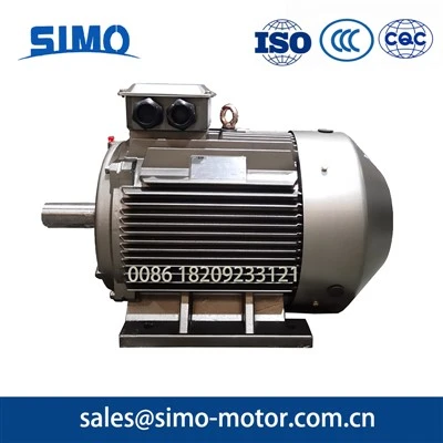 IE3 Premium Efficiency Motors