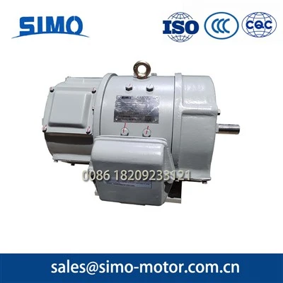 Oil Pump Dc Motor