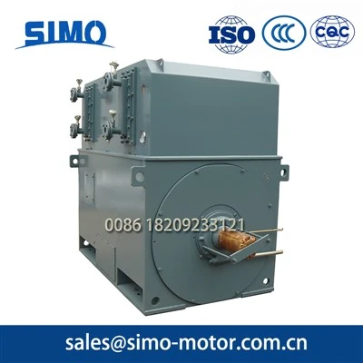 Power Plant High-Voltage Motor
