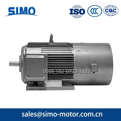 SIMO MOTOR PMSM TCYP5