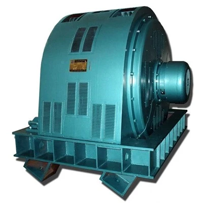 TK Series 6kv Synchronous Motor