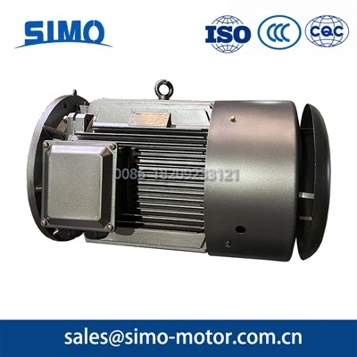 VF Multi-Speed 3-Phase Motor