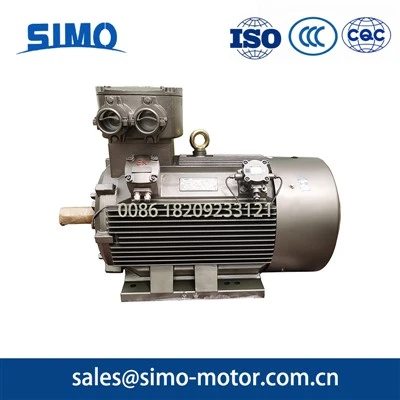 Flameproof induction motor-2Pole