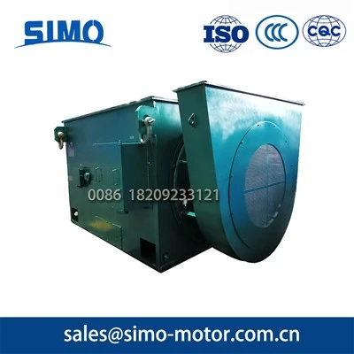 YKK Series Ultra-High Power Three-Phase Asynchronous Motors (Center Height 710–1000)